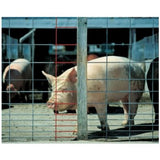 Panneau de clôture (cattle panel)