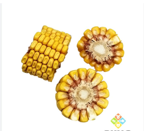 Rondelles de Mais pour rongeurs (sac de 10)